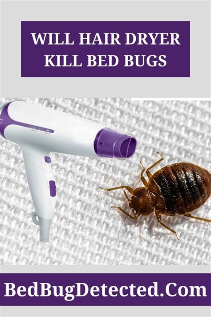 Does the dryer really kill bed bugs