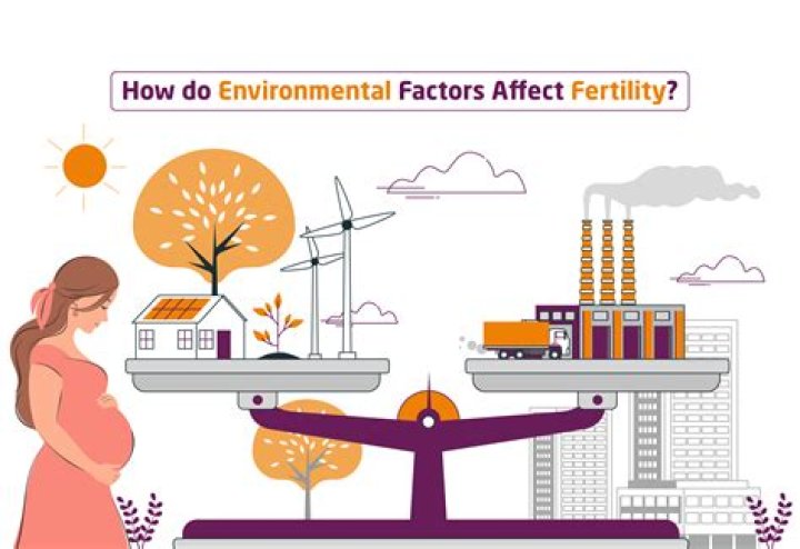 How are GMOs affecting the environment?