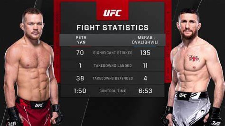 How are UFC odds calculated?