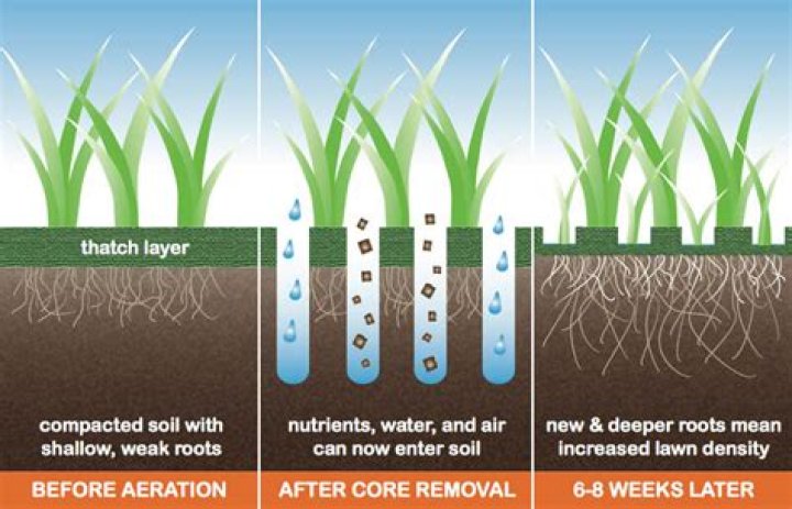 How deep should I Core aerate