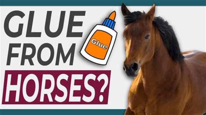 How do horses help make glue?