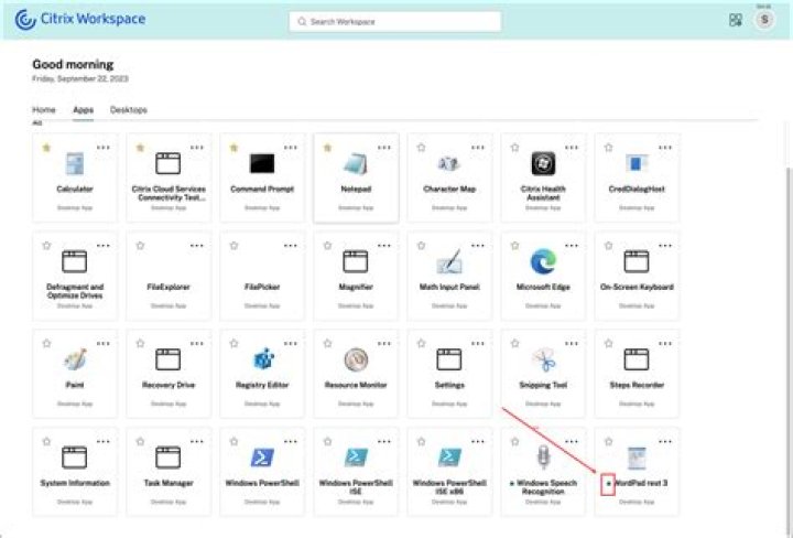How do I access my Citrix License Server?