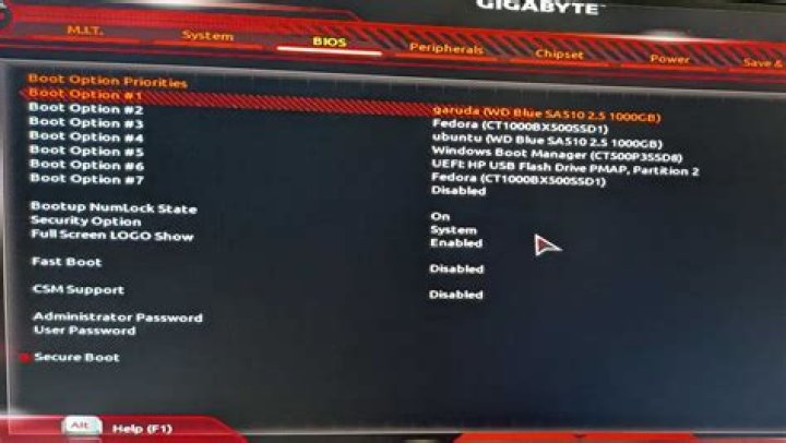How do I change BIOS settings in Linux?