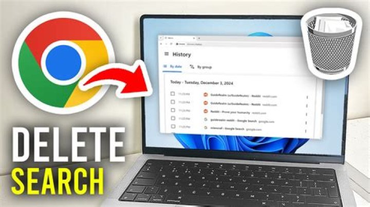How do I delete previous searches?