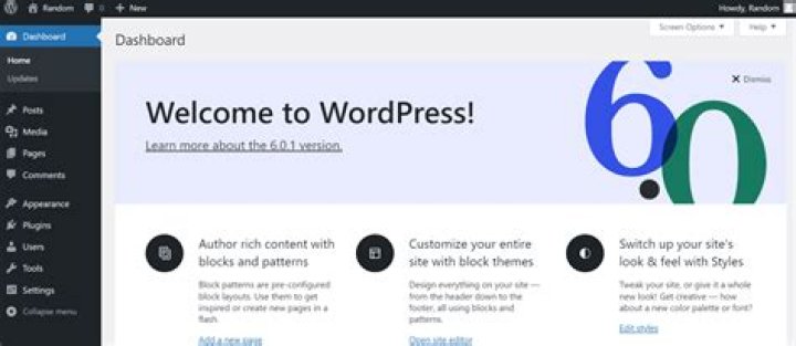 How do I find my WordPress admin username?