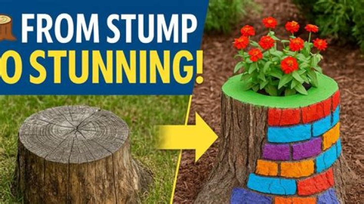 How do I hide an old tree stump