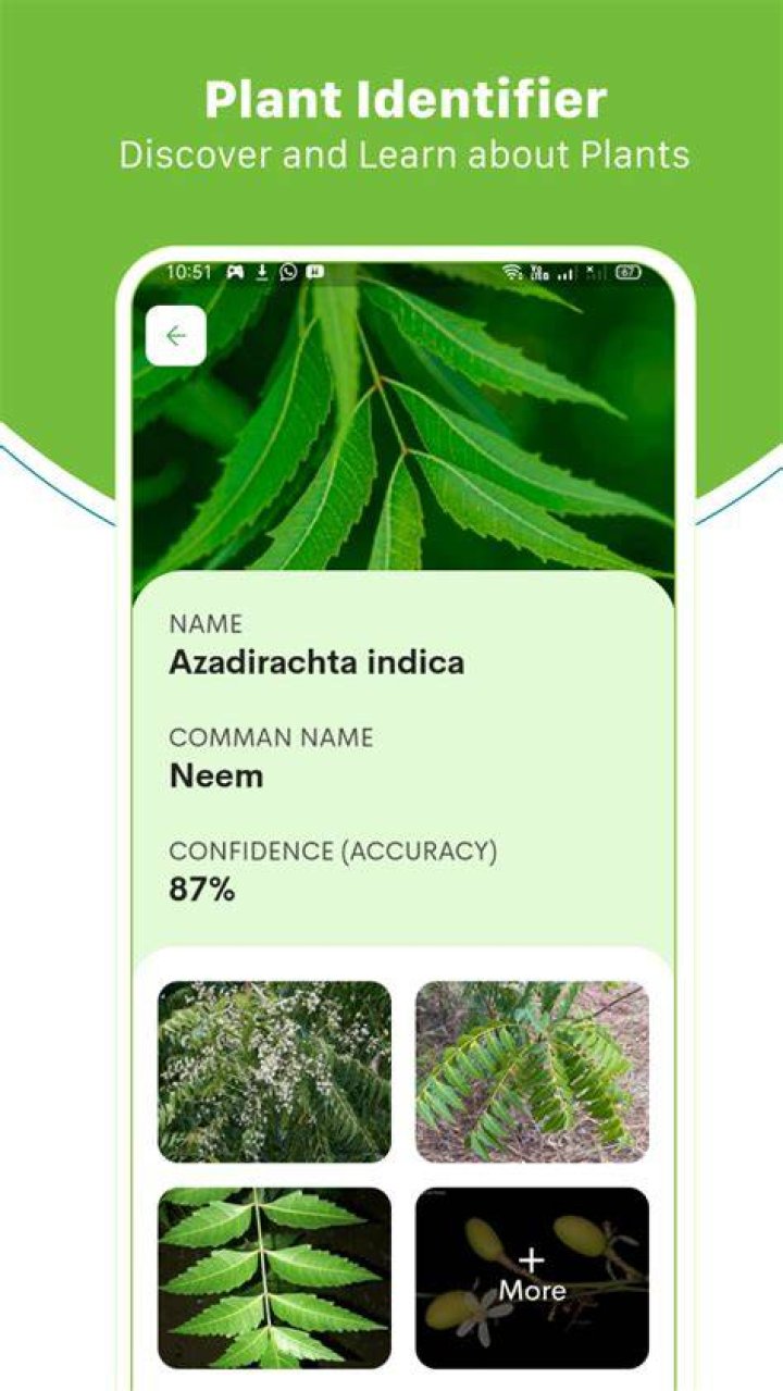 How do I identify a plant NZ?