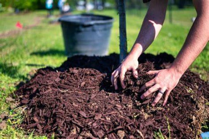 How do I keep mulch from blowing away