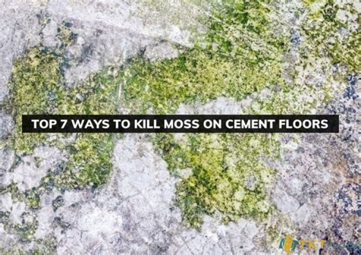 How do I kill moss on concrete