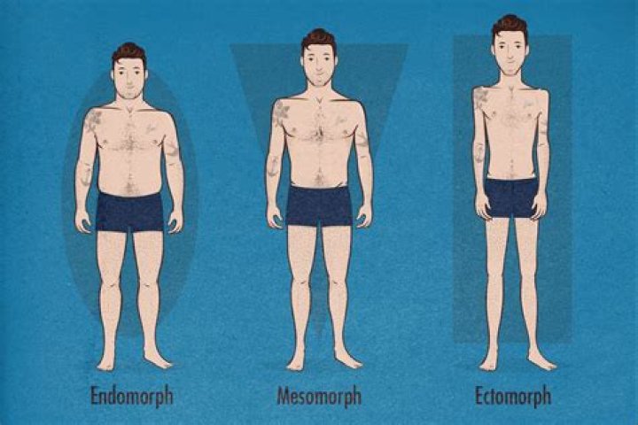 How do I know if Im an endomorph or mesomorph