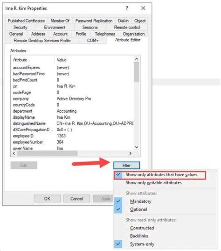How do I see user attributes in Active Directory?