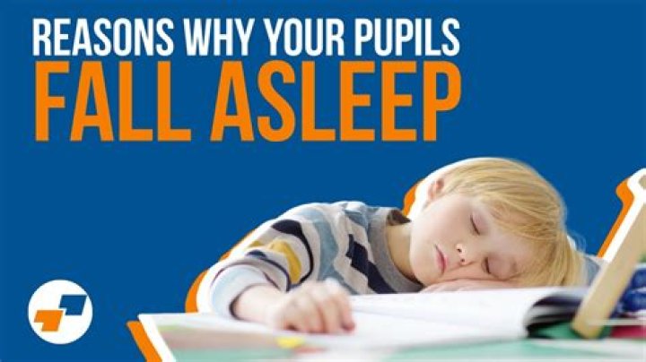 How do I stop falling asleep during homework?