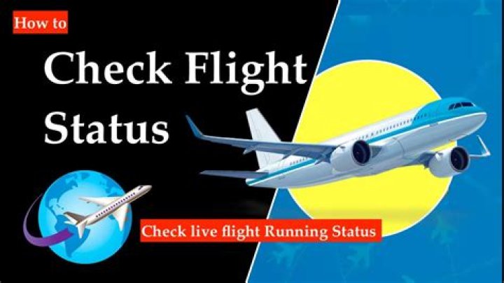 How do I track flight status live?