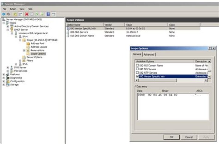 How do I use DHCP option 43?