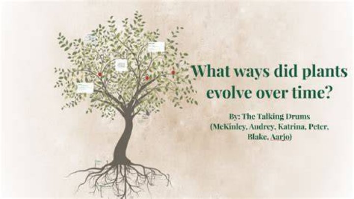 How do plants evolve over time