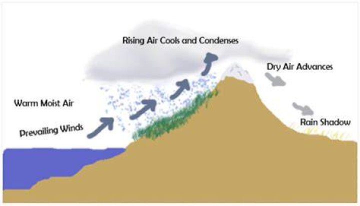 How do prevailing winds affect rainfall