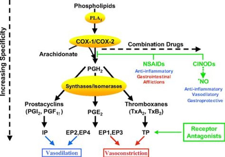 How do prostaglandins work in glaucoma?