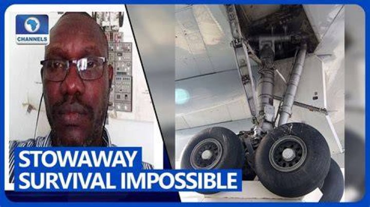 How do stowaways survive on planes