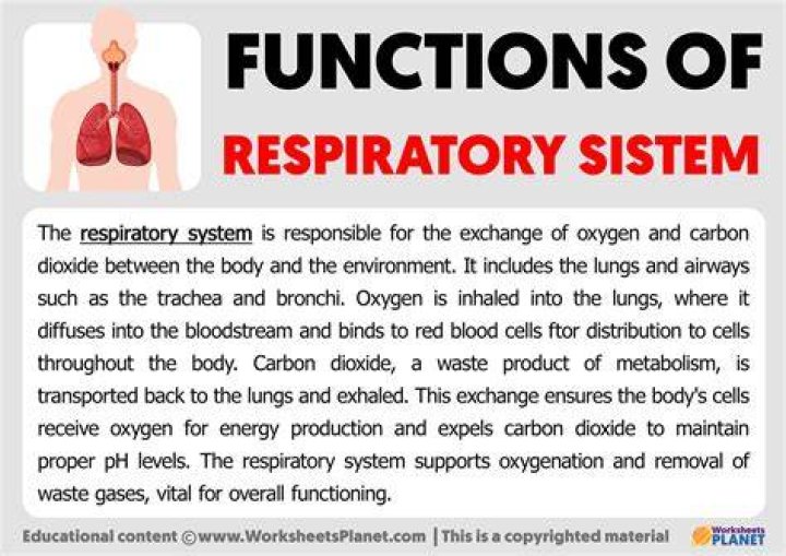 How do you improve respiratory function