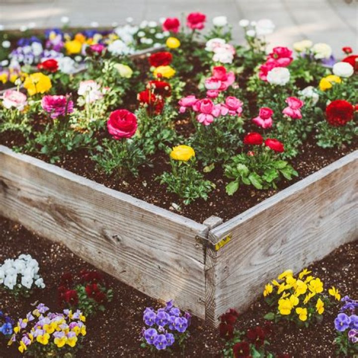 How do you plan a raised flower bed