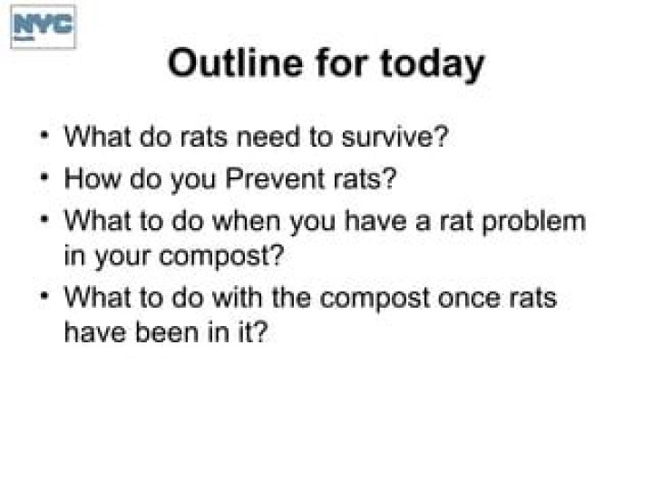 How do you prevent rats