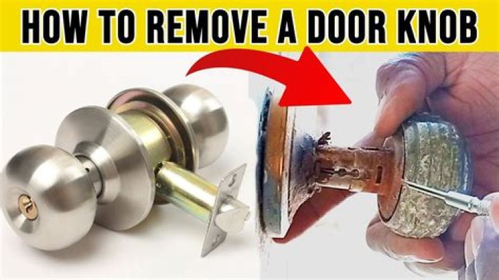How do you remove a microwave door?