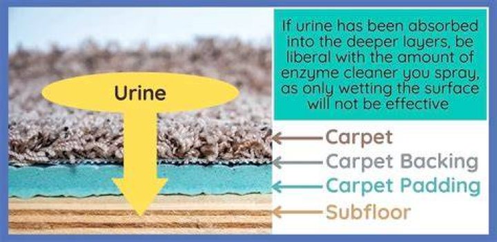 How do you remove a stuck carpet padding from a subfloor?