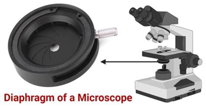 How do you use a diaphragm on a microscope