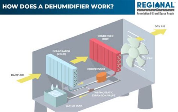 How does a ebac dehumidifier work?