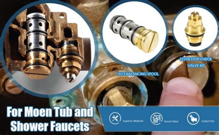 How does a Moentrol valve work