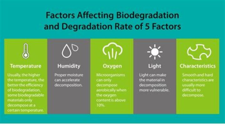 How does biodegradable help the environment