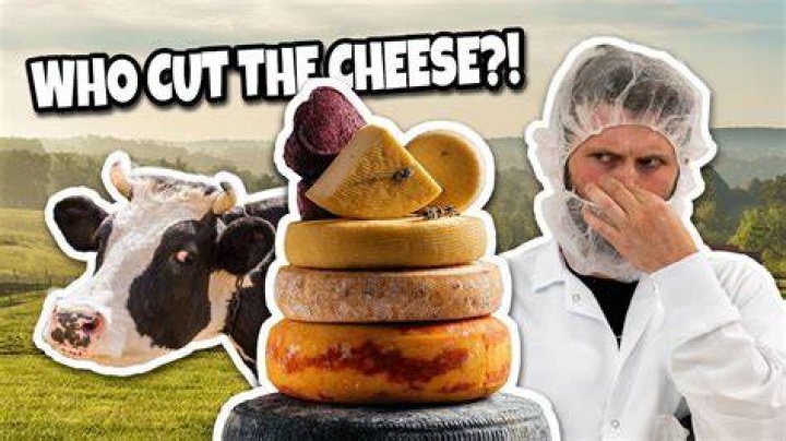 How does cheese impact the world?