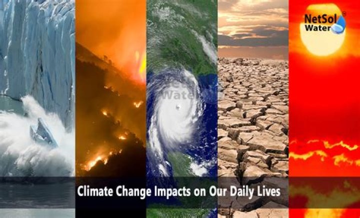 How does climate change affect the taiga