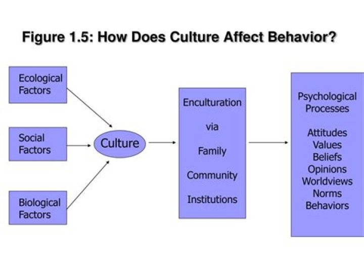 How does culture affect behavior