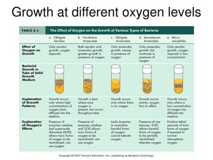 How does oxygen affect microbial growth