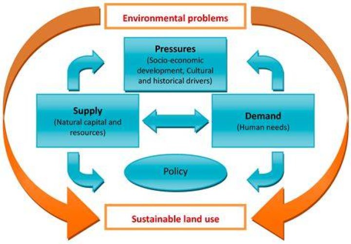 How does resource allocation differ in the different economic systems