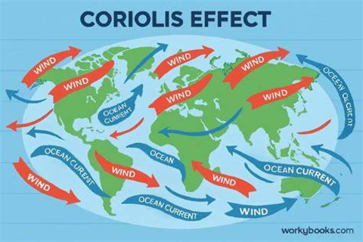 How does the Coriolis effect affect prevailing winds