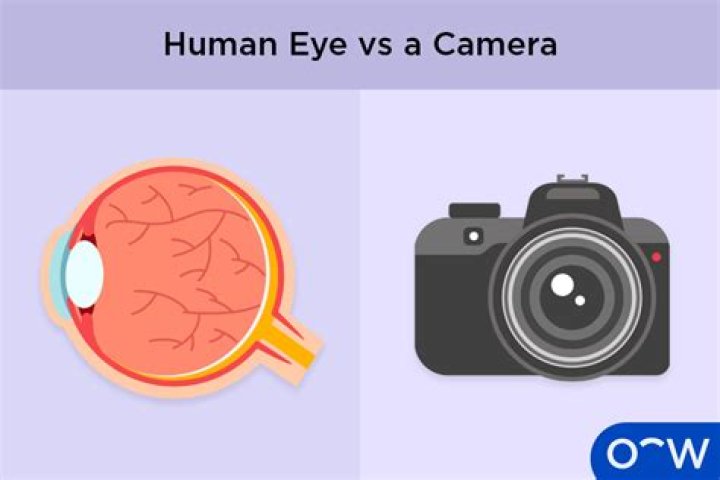How does the eye work like a camera