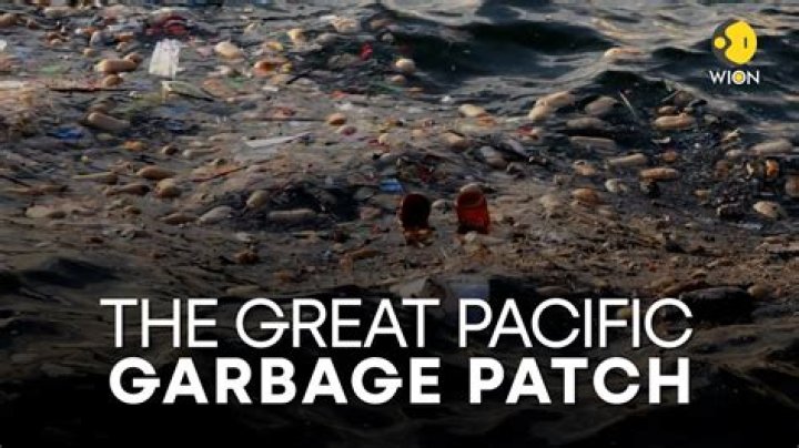 How does the Great Pacific Garbage Patch affect fish