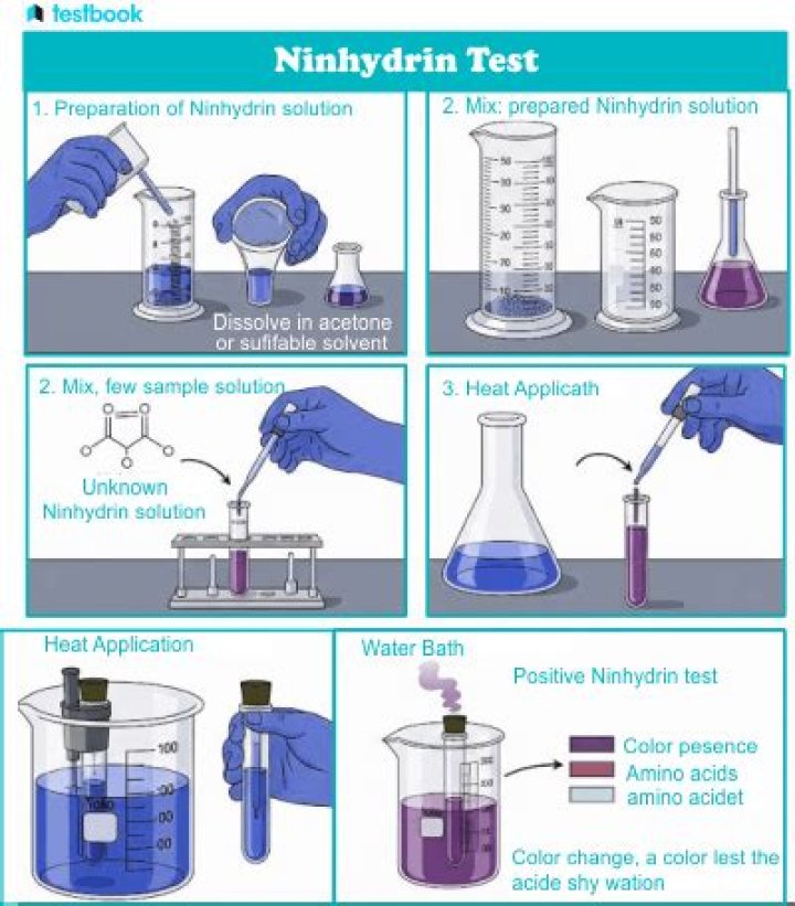 How does the ninhydrin test work