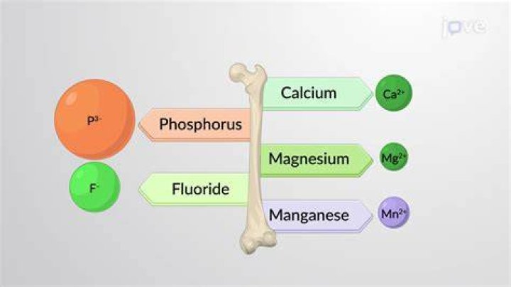 How does vitamin D regulate calcium and phosphorus