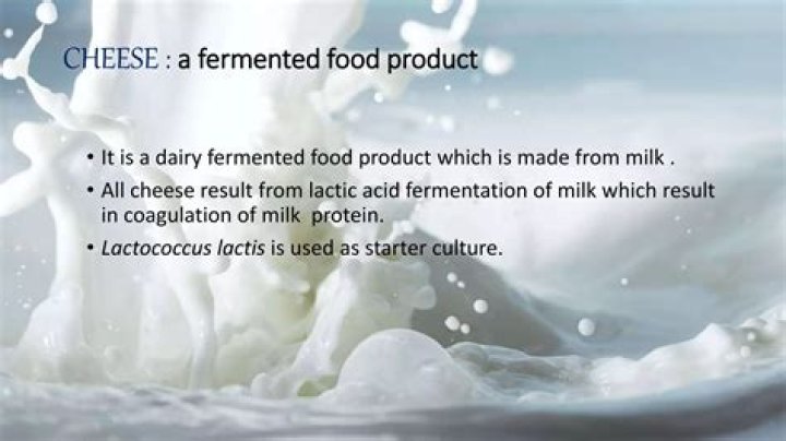 How is Lactococcus used to make cheese?