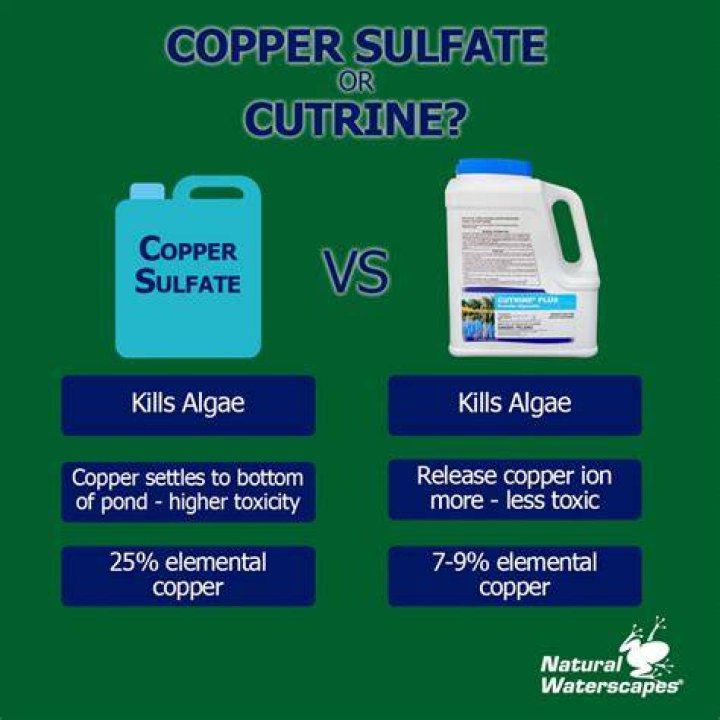 How long does it take copper sulfate to kill moss