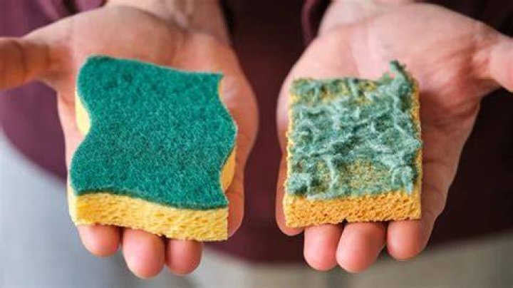 How long should you use a kitchen sponge