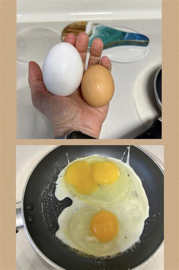 How many large eggs equals 3 extra large eggs?
