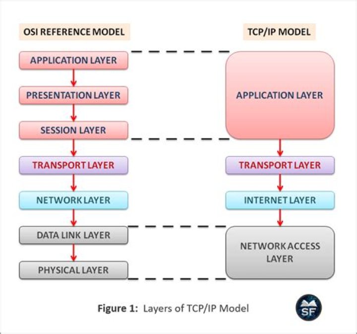 How many layers read and react?