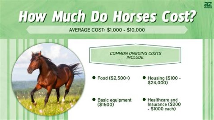 How much do free weights cost
