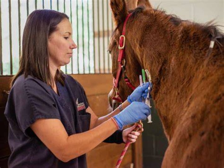 How much do veterinarians with a PhD make?