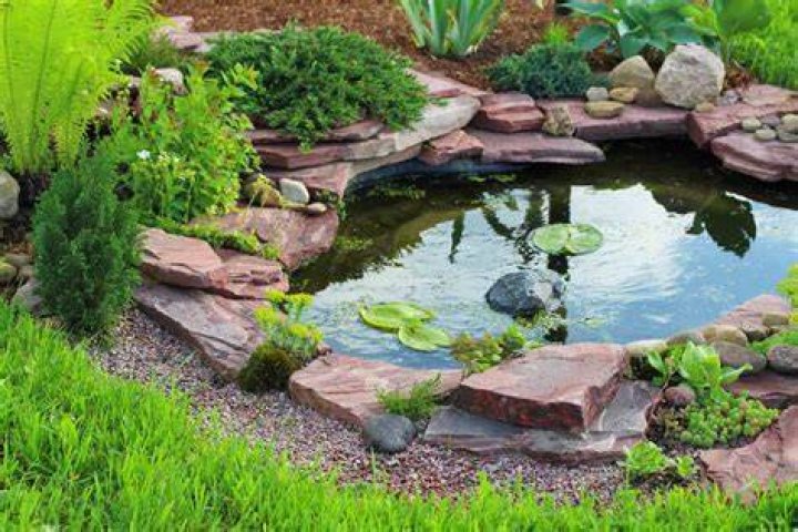 How much does a pond liner cost