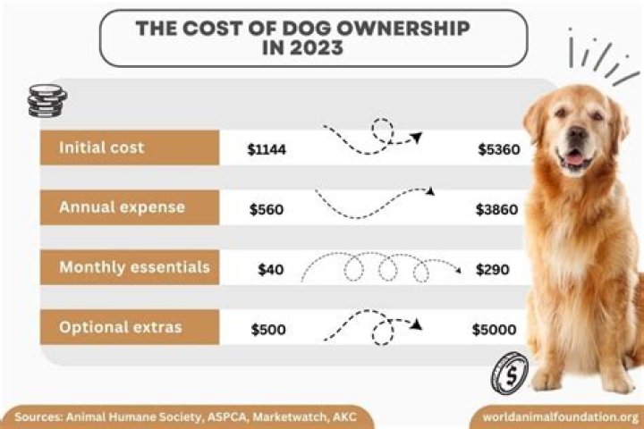 How much does DogSpot cost